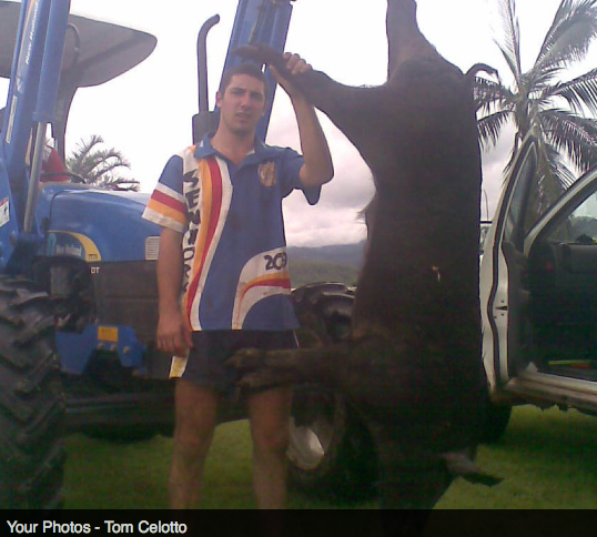 Screen Shot 2013-10-02 at 1.37.11 PM